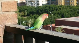 Un bonito cuento...otro mas